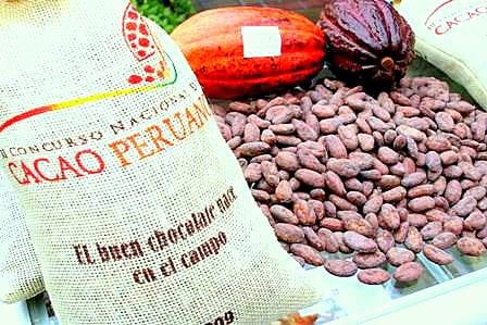 Las exportaciones de cacao en grano representaron un crecimiento del 24% en el primer semestre del año, sostuvo la Gerencia Agroexportadora de ADEX