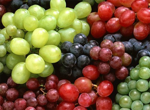 Las exportaciones del sector agro crecieron gracias a productos como uvas frescas