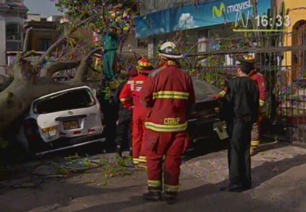 Auto cae sobre un árbol (Canal N)