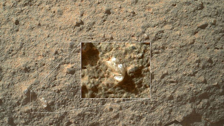 Supuesta flor en la superficie de Marte que impresiona (Foto: http://mashable.com)
