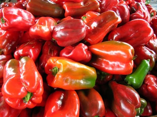 El ají pimiento piquillo viene siendo requerido en Estados Unidos y Europa, siendo una gran oportunidad para los exportadores peruanos.