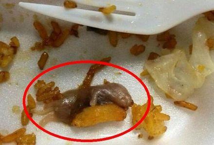 Esta foto de un diminuto ratón en plato de arroz chino causa conmoción