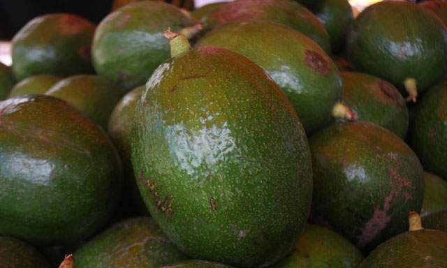 Algunos productos agros  – como la palta - se vienen consolidando en los diferentes mercados del mundo.