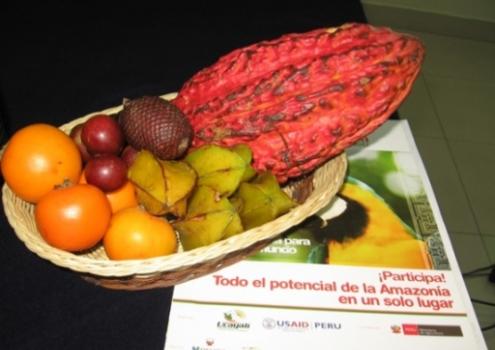 La Feria Expoamazónica 2013 será una excelente oportunidad para dar a conocer las bondades de los productos de la selva peruana.