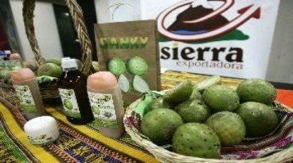 El programa Sierra Exportadora generó más de US$ 25 millones el año pasado y se espera crear más oportunidades en el futuro.