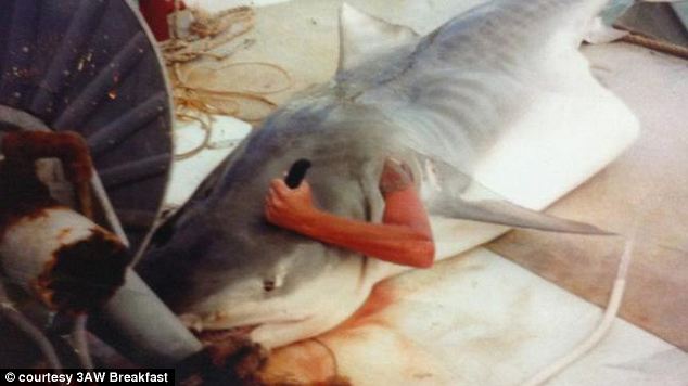 Impacto: Luchó por su vida dentro del estómago de un tiburón