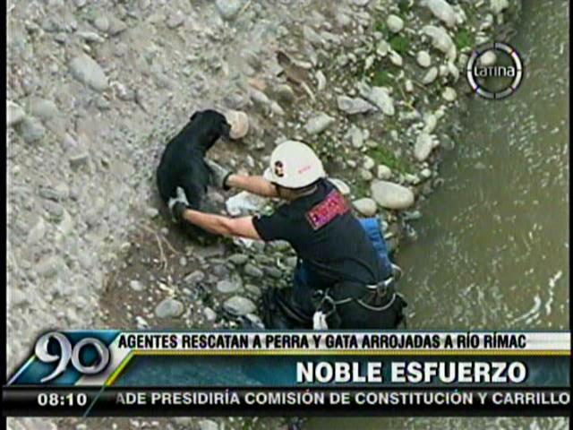 (Video Frecuencia Latina) Impactante rescate de perro y gato lanzados al río Rímac