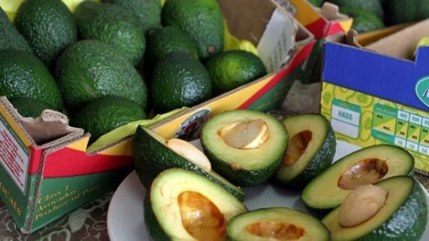 La palta hass peruana ya puede entrar sin ninguna restricción a territorio chileno.