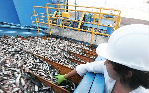 Según Comex, los Acuerdos Comerciales han favorecido las exportaciones de agricultura y pesca.