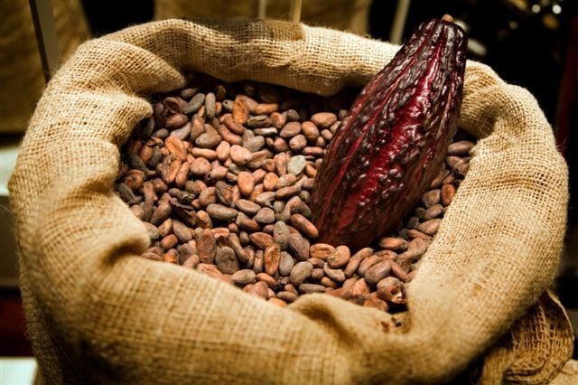 Con la denominación de Producto Bandera, se espera que las exportaciones de cacao aumenten para el próximo año.