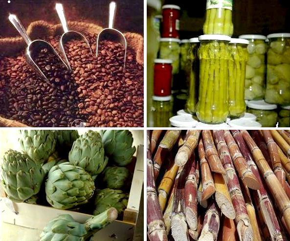 El café, los espárragos y la alcachofa entre los productos que tendrían gran potencial exportador en el presente año.
