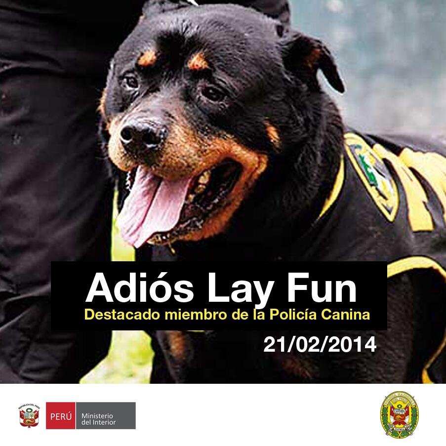 Foto Mininter / Adios a Lay Fun: Perro policía falleció a los 13 años y recibió homenaje