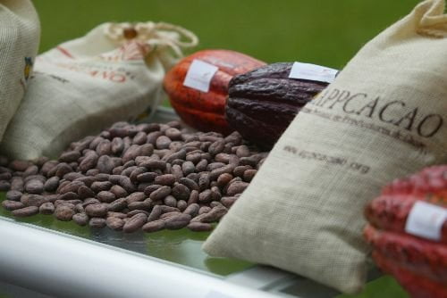 El cacao nacional se direccionó principalmente a Estados Unidos y países de la Unión Europea.