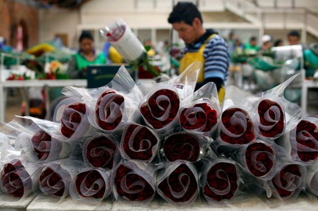 Las exportaciones de flores peruanas registrarían un crecimiento de 15% este año.