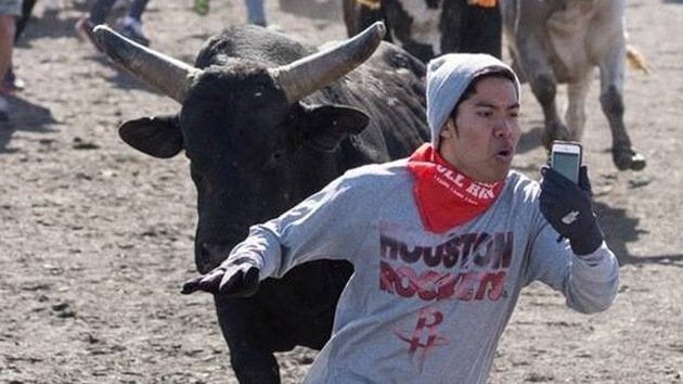 FOTO RT / [VIDEO] Se pone delante de toros por una foto selfie 'pal face'