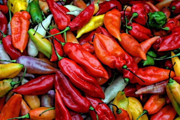 Perú incrementó sus exportaciones de capsicums (ajíes y pimientos).