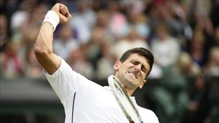 Djokovic se exigió para ganar a un gran rival como el checo Stepanek.