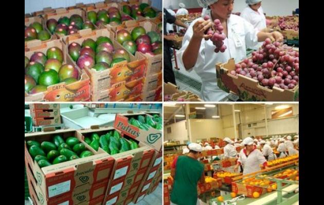 Las frutas – principalmente – marcaron el dinamismo de las agroexportaciones durante los cinco primeros meses del año.