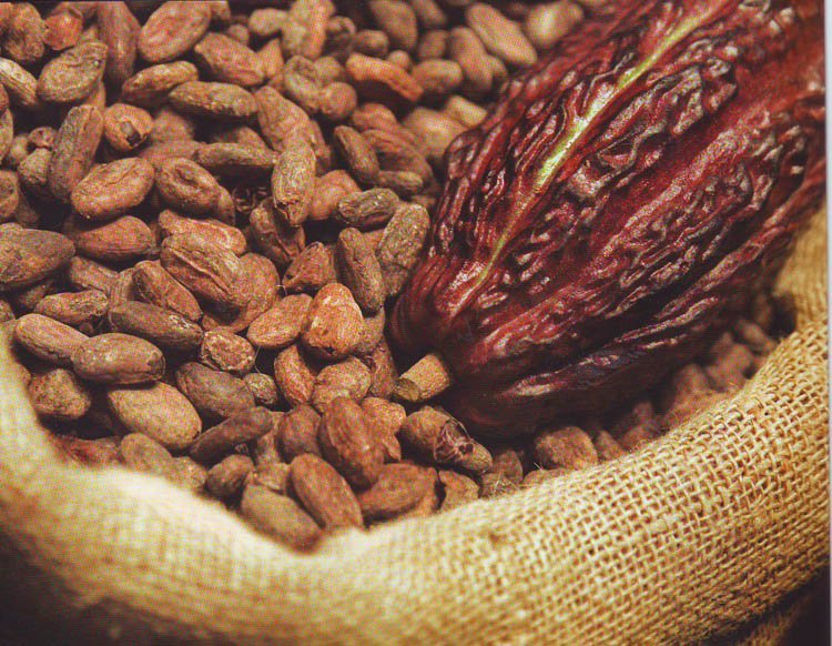 La USAID detalló que el cacao peruano en la actualidad se exporta principalmente a Asia, Europa, Estados Unidos y Oceanía,