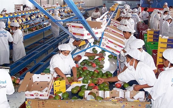 Las frutas y hortalizas representaron el 60% de las agroexportaciones peruanas No Tradicionales.