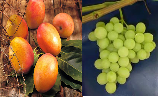 Los mangos y las uvas fueron lideraron los despachos de frutas al exterior entre enero y junio.