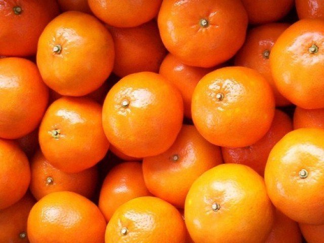 La mandarina, es uno de los productos agrarios, que se encuentra dentro de la lista de oportunidades no aprovechadas para exportar a Japón.