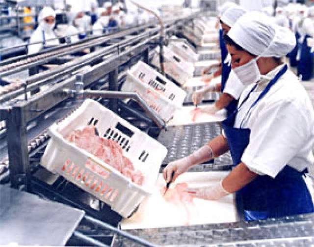 Dentro de la Misión Comercial a Portugal, las empresas peruanas visitarán plantas pesqueras.