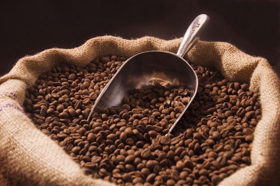 El café – producto tradicional – lideró las exportaciones del subsector agro nacional.