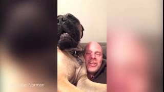 [VIDEO] Este perro llora cuando escucha canciones de Navidad