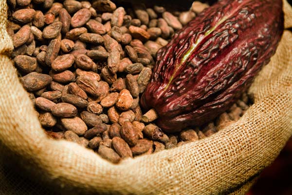 El mercado estadounidense además de los europeos (Holanda, Alemania, Bélgica e Italia) destacaron como principales compradores del cacao nacional.