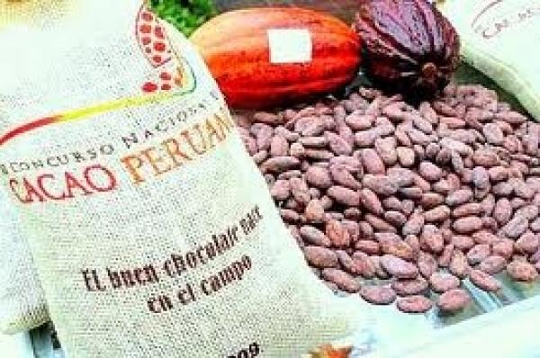 El cacao peruano y sus derivados se direccionaron hacia 94 destinos internacionales.