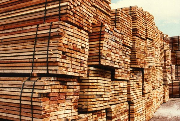 La exportación de madera facturó  más de US$ 10 millones durante enero.