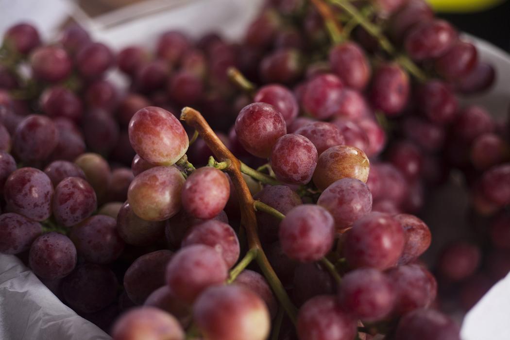 El 99% de la uva que Perú exporta a China es de la variedad Red Globe.