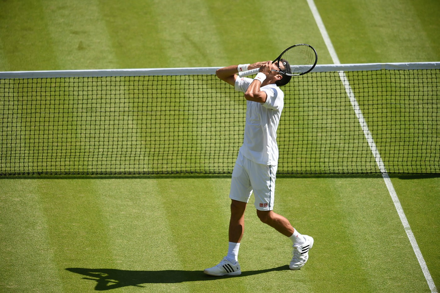 Djokovic pasó con creces su primer examen en el Abierto de Londres.