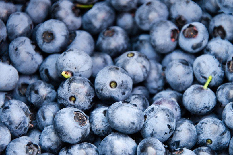 Canadá es el segundo consumidor a nivel mundial de arándanos