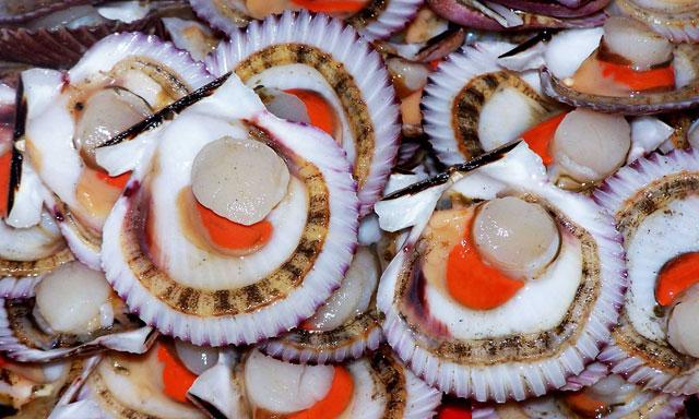 Las conchas de abanico continúan siendo el principal productos peruano exportado al mercado francés.