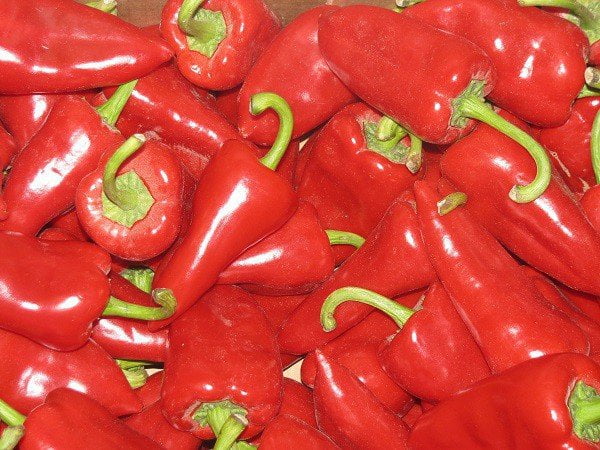 En Europa el pimiento piquillo es  visto como un alimento saludable, natural y orgánico.