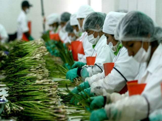 Las agroexportaciones aminoraron un poco la caída de nuestros envíos a la Unión Europea.