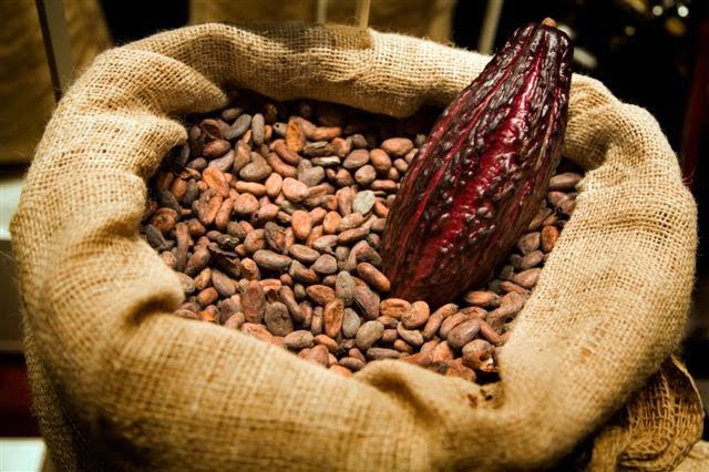 Las exportaciones de cacao en grano se direccionaron hacia un total de 38 destinos.