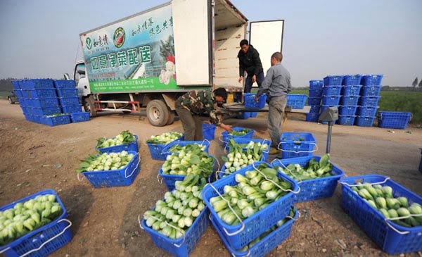 Exportadoras peruanas tendrán que cumplir más disposiciones para enviar alimentos a Estados  Unidos.