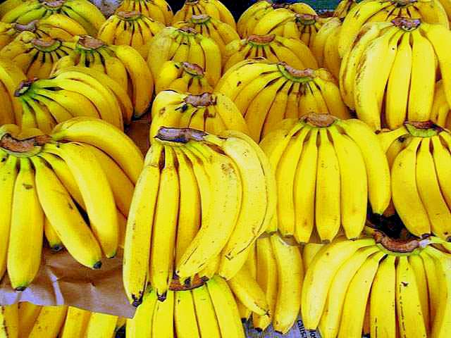 Los envíos de plátano al exterior generaron un importante incremento en su facturación.
