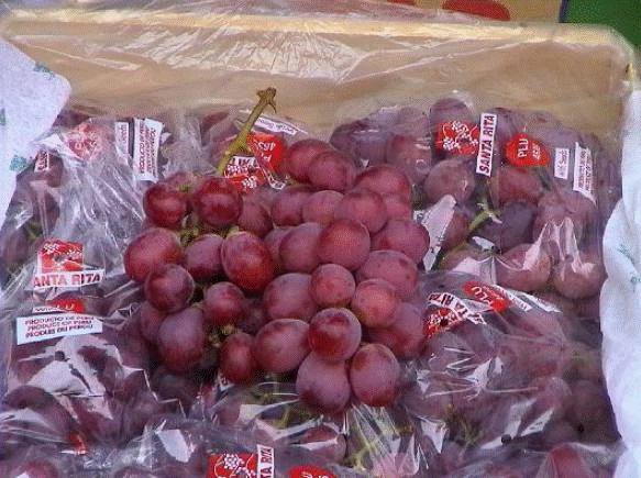 Las exportaciones de uvas fueron realizadas por 141 firmas nacionales.