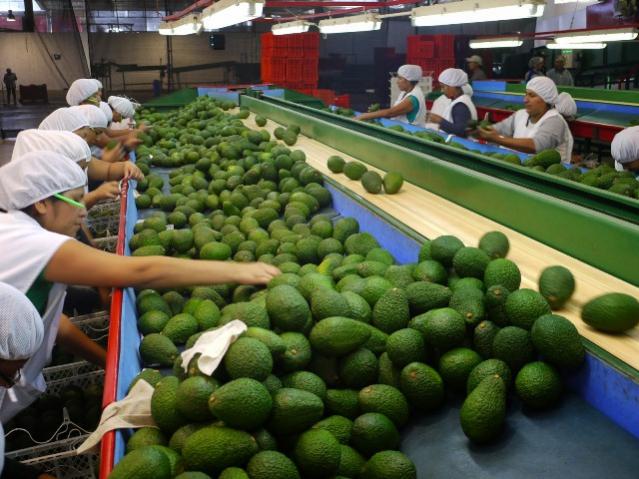 Las exportaciones peruanas con valor agregado se direccionaron principalmente al mercado estadounidense.