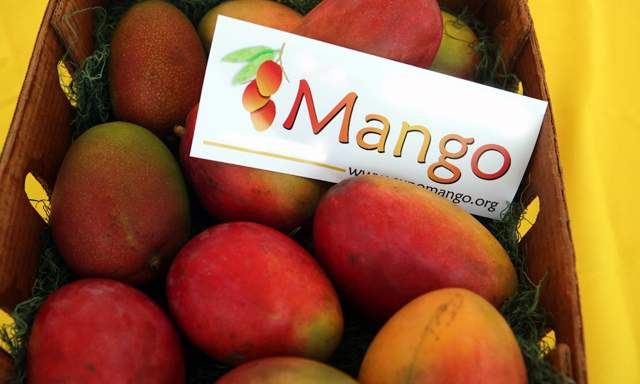 El mango se produce principalmente en Piura, Lambayeque y Ancash.