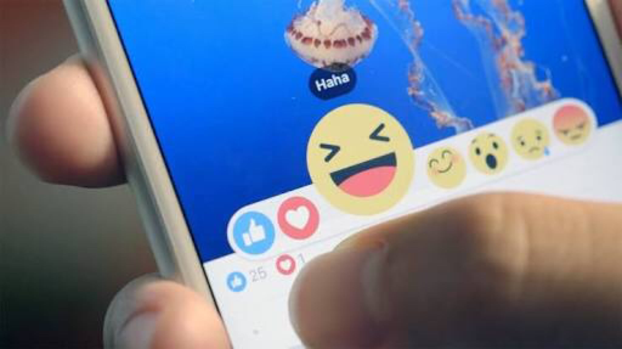 Facebook : activa así el nuevo botón No Me Gusta