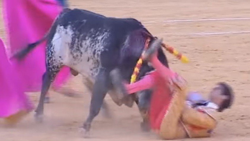 Terrible muerte del torero español Víctor Barrio