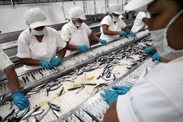 Sector pesca registró déficit en sus exportaciones entre enero y junio