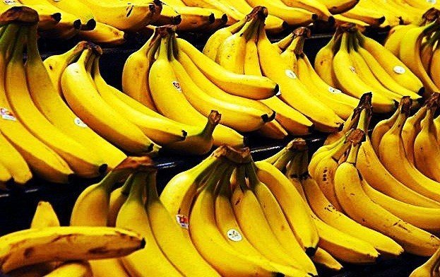 El banano orgánico piurano será consumido en Portugal.