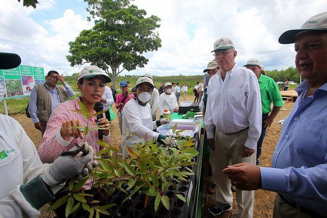 Bosques de la Sierra y la Amazonía serán reforestados anunció el presidente Kuczynski.