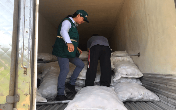 Perú exporta papa al Brasil